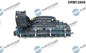 Įsiurbimo kolektoriaus modulis Dr.Motor Automotive DRM12806 kaina