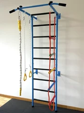 Gimnastikos sienelė KID-2 Blue kaina