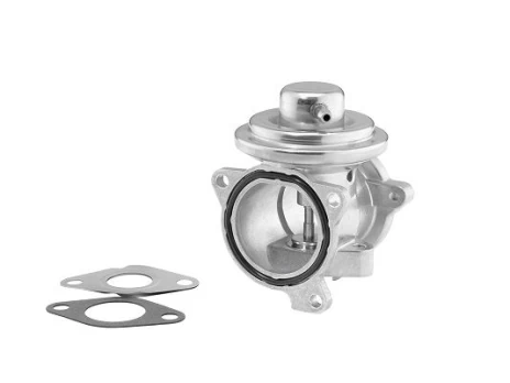 ERG vožtuvas BorgWarner (Wahler) 7271D