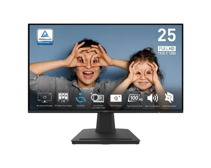 Monitorius MSI PRO MP252