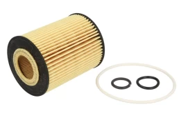 Alyvos filtras HENGST FILTER E22HD88 kaina
