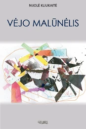 Vėjo malūnėlis kaina