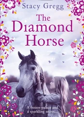 Diamond Horse kaina