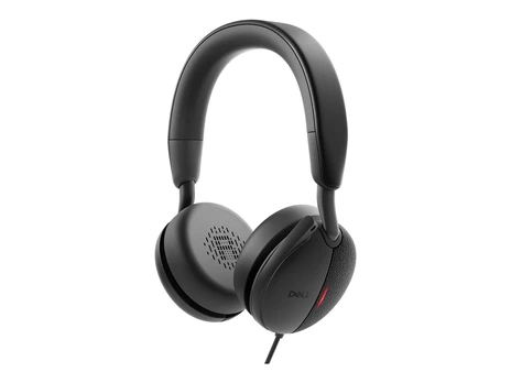 Ausinės Dell WH5024