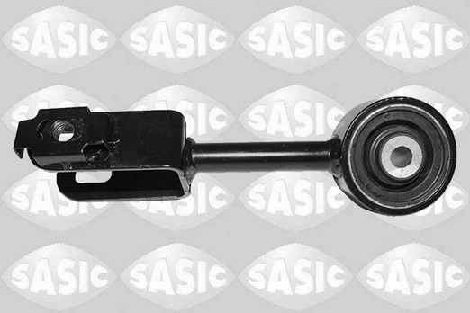 Variklio montavimas SASIC 2706452