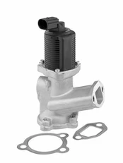 ERG vožtuvas BorgWarner (Wahler) 712070D