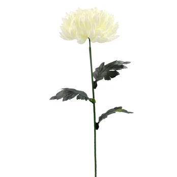 Dirbtinė gėlė chrizantema, 72 cm : Spalva - Balta