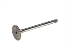 FRECCIA 4964/S Inlet valve kaina