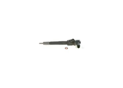 BOSCH 0 445 110 351 Common rail injector kaina