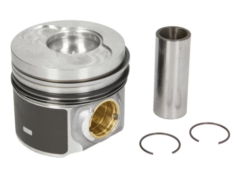 NURAL 87-421000-20 Piston
