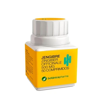 Botanicapharma imbieras 500 mg 50 tablečių