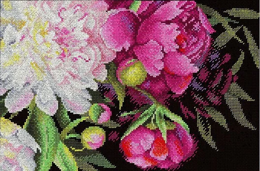 Royal peonies SNV-755