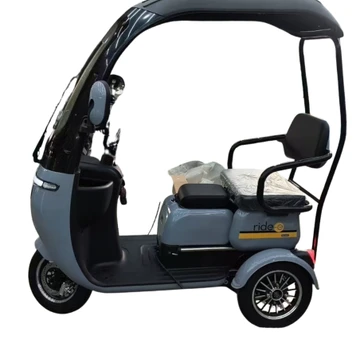 Elektrinis triratis su stogu RIDE-E NEMO (EEC) 1000W 60V 20Ah
