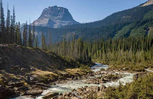 Plakatas Gamta 1208; Dydis A2, A1, A0 formato