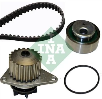 INA 530 0012 30 Timing belt kit (belt+ pulley+ water pump)