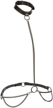 Calexotics Chain Halter & Collar