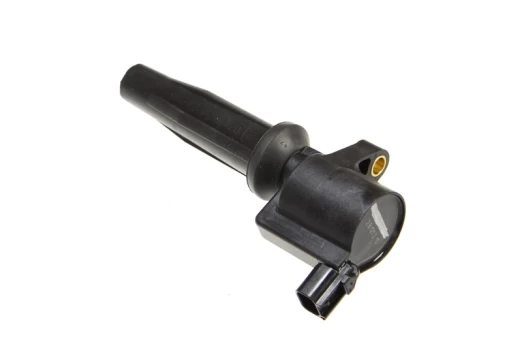 Ritė, uždegimas NGK 48063