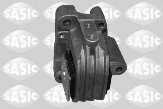 Variklio montavimas SASIC 2706438