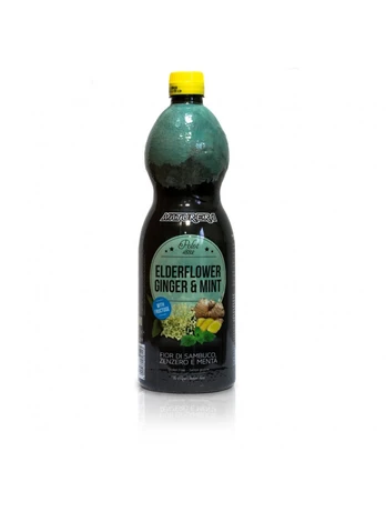 Limonadas ŠEIVAMEDIS, IMBIERAS IR MĖTA (1 l.)