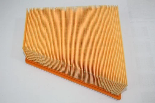 Oro filtras AUTOMEGA 180026610