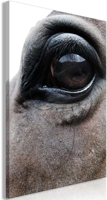 Artgeist Paveikslas - Honest Eyes (1 Part) Vertical