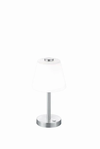 TRIO-Lighting Emerald LED table lamp brushed steel gaismeklis