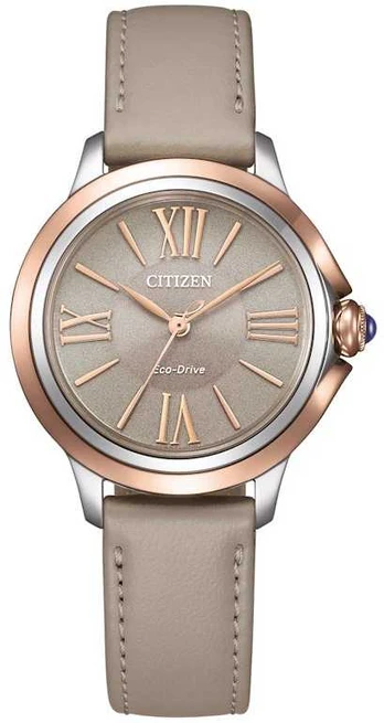 Laikrodis Citizen Eco-Drive EM1166-01Z