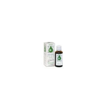 Maisto papildas Beres Drops Plus, 30 ml