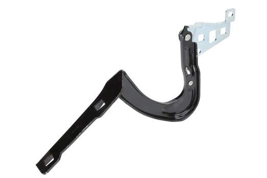 Variklio gaubto elementai BLIC 6802-00-7706452P
