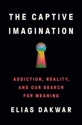 Captive Imagination, Addiction, Reality and our Search for Meaning