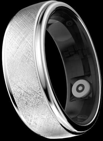Future Ring2 Titanium Silver 13 (53,2mm)