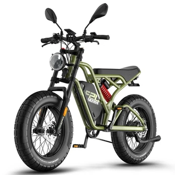 Elektrinis dviratis Fafrees F20 Ultra 20'', žalias