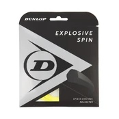 Stygos tenisui EXPLOSIVE SPIN 17g/1.25mm 12m kaina
