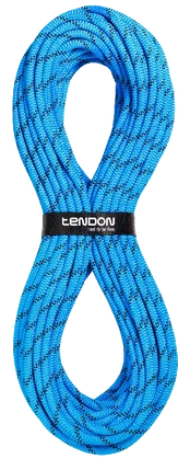 Tendon Static 12