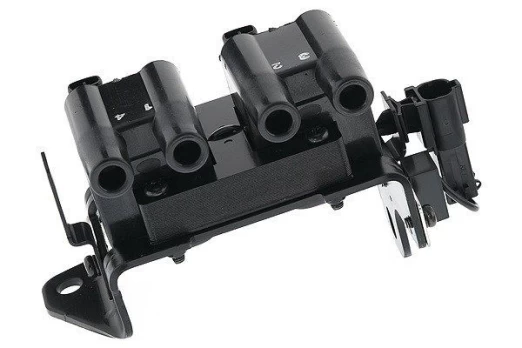 Ritė, uždegimas MAGNETI MARELLI 060717134012
