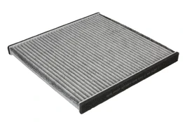 Salono filtras BLUE PRINT ADT32512 kaina