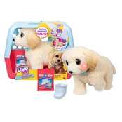 Little Live Pets - Ouchies (26679) kaina