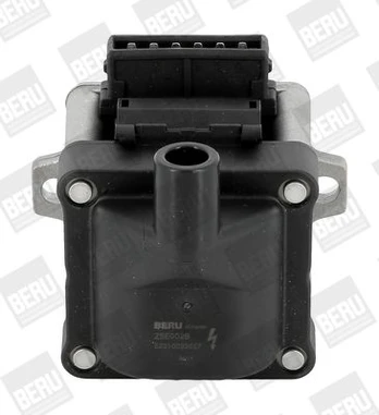 Ritė, uždegimas BorgWarner (BERU) ZSE002B