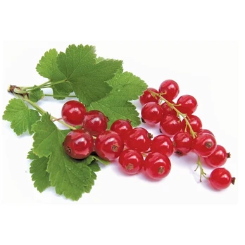 Raudonieji serbentai, 250 g