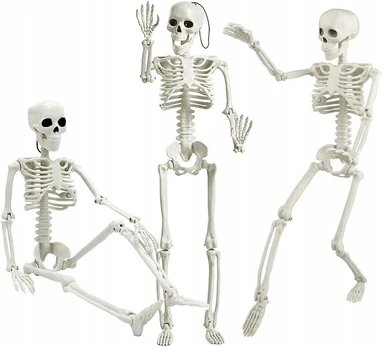 Helovino dekoracija Skeletas, balta