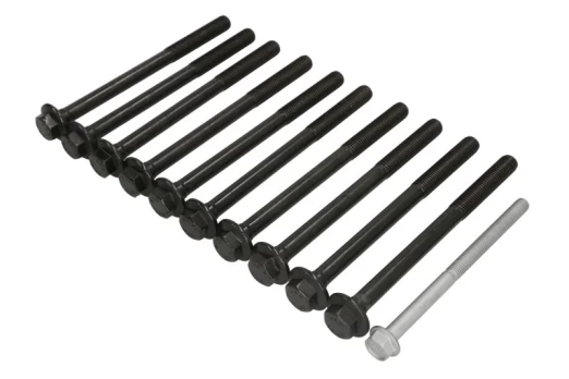 REINZ 14-10030-01 Cylinder head bolt set