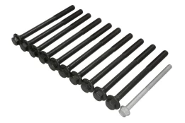 REINZ 14-10030-01 Cylinder head bolt set kaina