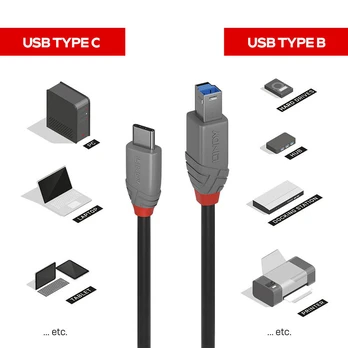 Lindy 2 m USB 3.2 tipo C į B laidas, Anthra Line