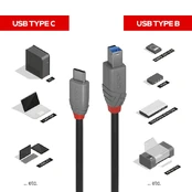 Lindy 2 m USB 3.2 tipo C į B laidas, Anthra Line kaina