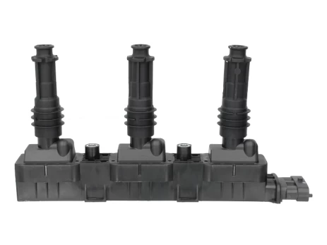 Ritė, uždegimas MAGNETI MARELLI 060717081012