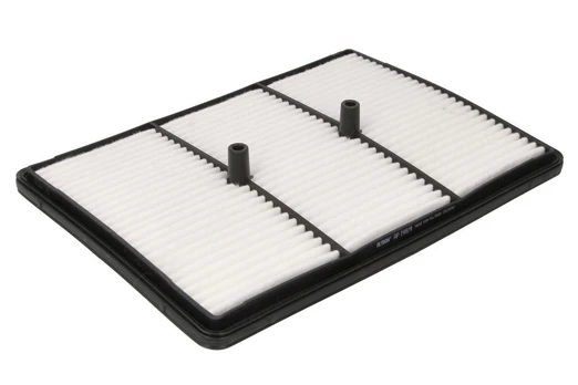 Oro filtras FILTRON AP 198/9