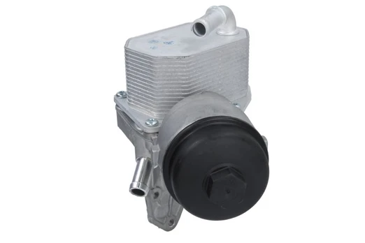 Alyvos radiatorius THERMOTEC D4G024TT