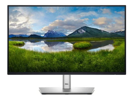 Monitorius Dell 22 P2225H