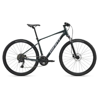 GIANT Roam 2 Bicycle, Asphalt Green (L)
