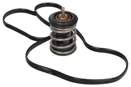Termostatas, aušinimo skystis CONTINENTAL 28020041472
